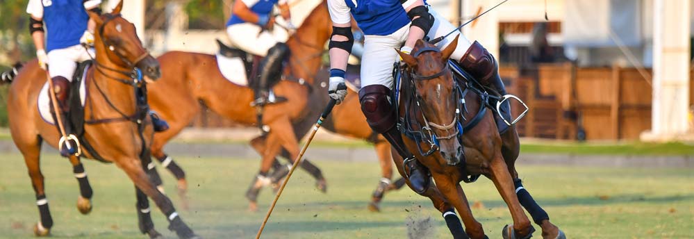 Hasci bij city polo Maastricht