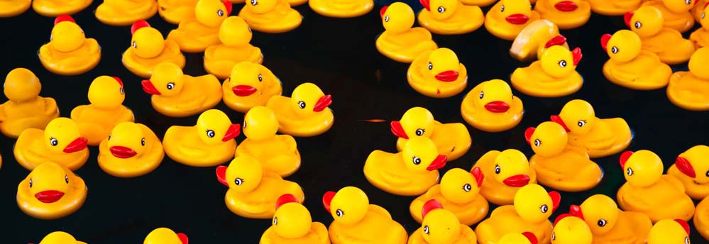 Hair Science Institute doet mee aan de Duckrace Maastricht
