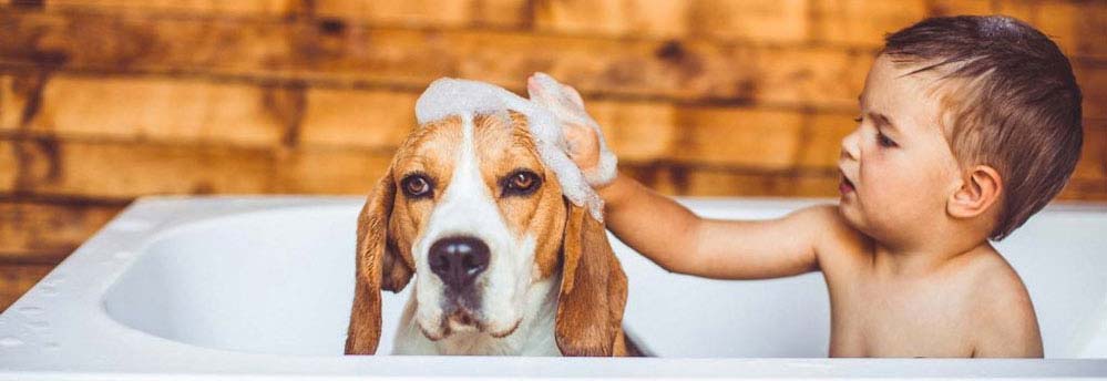 Shampoo en haaruitval 2