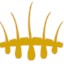 hsi-logo